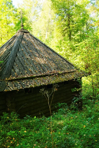 Sonbaharda Ormanda Eski Ahşap Yazı Tipi Rusya — Stok fotoğraf