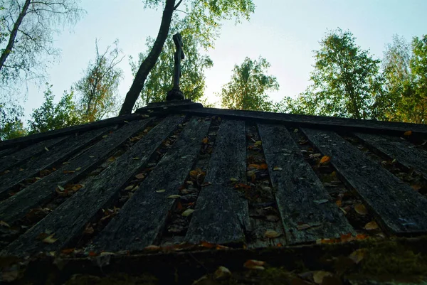 Sonbaharda Ormanda Eski Ahşap Yazı Tipi Rusya — Stok fotoğraf