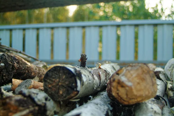 Birch Wood Woodpile Autumn Russia — Stock Photo, Image