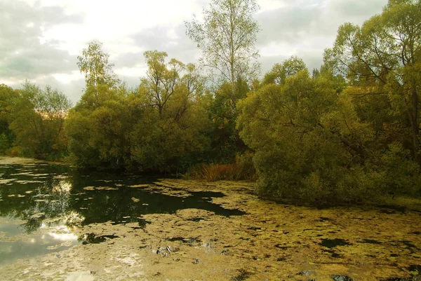 Pequeño Río Por Mañana Otoño Rusia — Foto de Stock