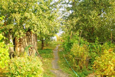 köyde sonbahar bahçesi , Rusya