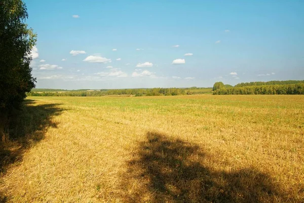 field after harvest on a bright day in autumn, Russi