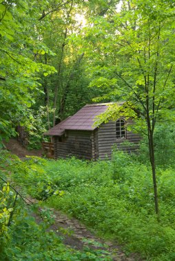 sonbaharda ormanda eski ahşap yazı tipi, Rusya
