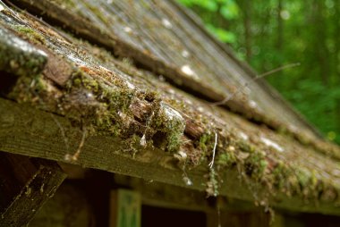 ahşap bir çatı kenarında yaprakları ve yosun , Russi