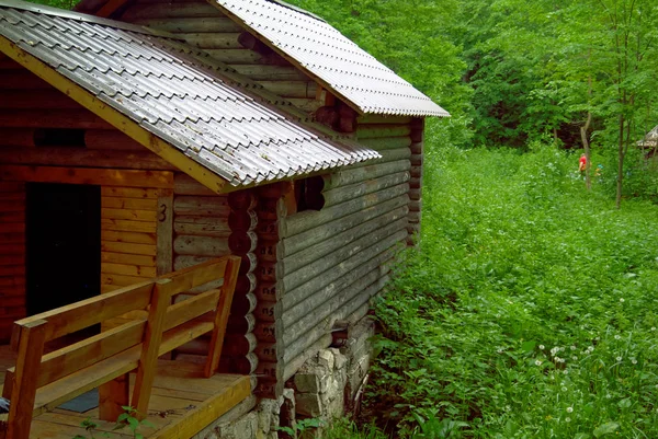 Stare Drewniane Czcionki Lesie Jesienią Rosja — Zdjęcie stockowe