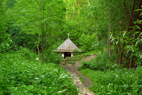 Sonbaharda Ormanda Eski Ahşap Yazı Tipi Rusya — Stok fotoğraf