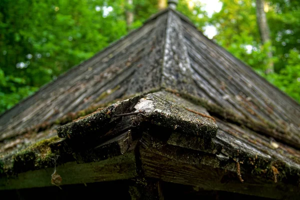 Foglie Muschio Sul Bordo Tetto Legno Russi — Foto Stock