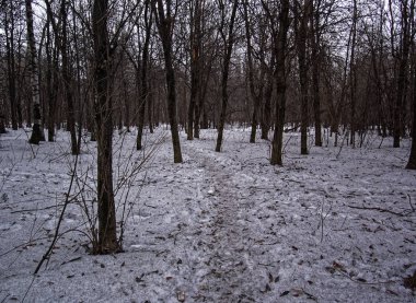 erken baharda parkta kirli kar, Russi