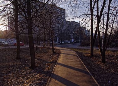 döşeli yolda ağaçların gölgeler, Mosco