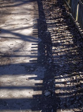 ilkbaharda çit boyunca patika, Russi