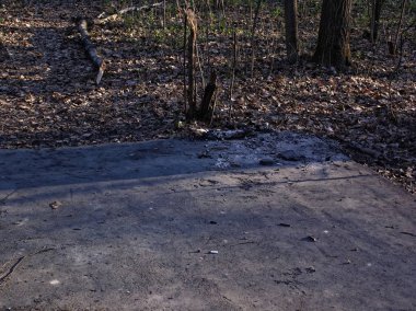 ilkbaharda Park asfalt yol, Mosco