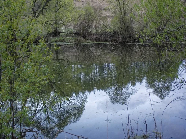 Riva Piccolo Fiume Una Sera Primavera Russi — Foto Stock