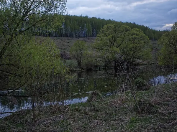 春天的晚上 一条小河的岸边 — 图库照片