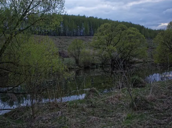 Rive Une Petite Rivière Soir Printemps Russi — Photo