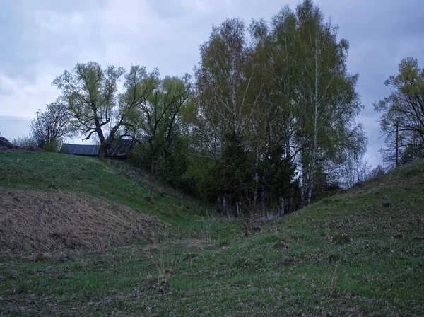 Břehu Malé Řeky Jarního Večera Russi — Stock fotografie