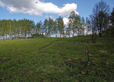 ilkbaharda çayır yangın sonra genç çim, Russi