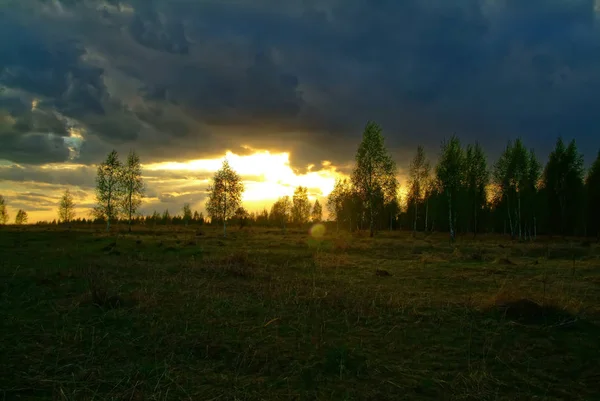 Bunter Sonnenuntergang Über Einem Feld Frühling Russi — Stockfoto