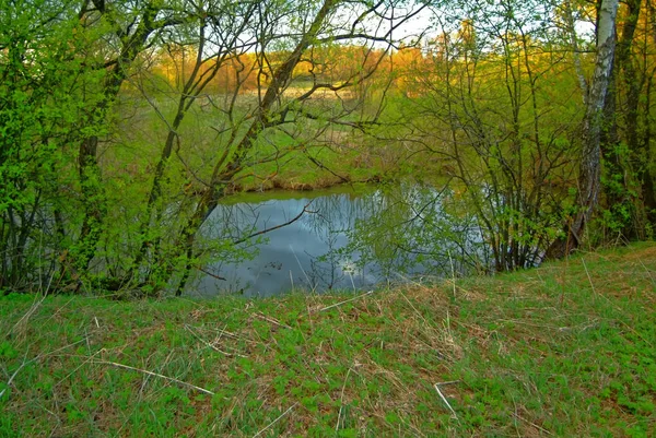 Oever Van Een Kleine Rivier Een Lente Avond Russi — Stockfoto