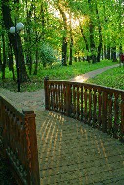 Baharda parktaki küçük tahta köprü, Mosco.