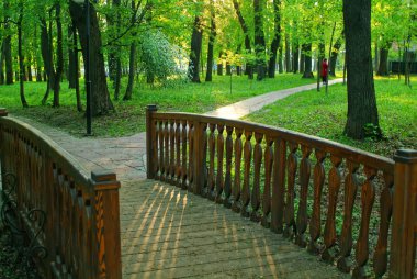 Baharda parktaki küçük tahta köprü, Mosco.