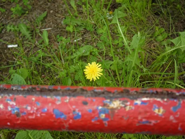 Bänke Aus Eisenrohren Auf Dem Spielplatz Mosco — Stockfoto