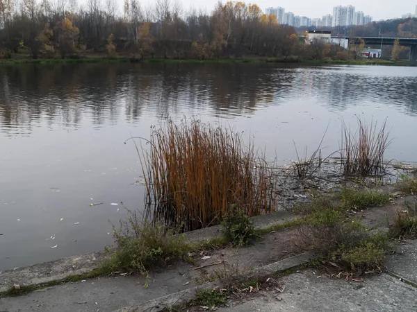 Λάσπη Στο Νερό Του Ποταμού Μόσχα Russi — Φωτογραφία Αρχείου