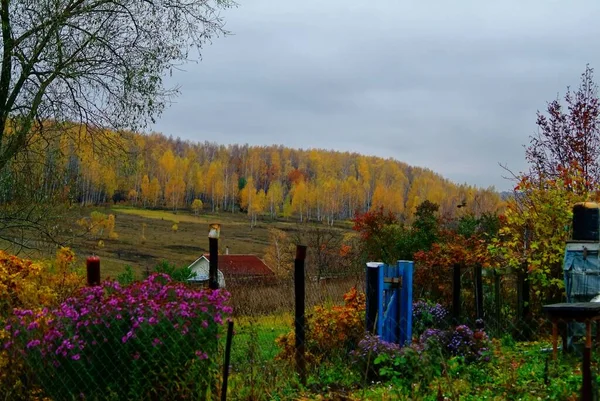 Small Village Rainy Autumn Russia — Stock Photo, Image