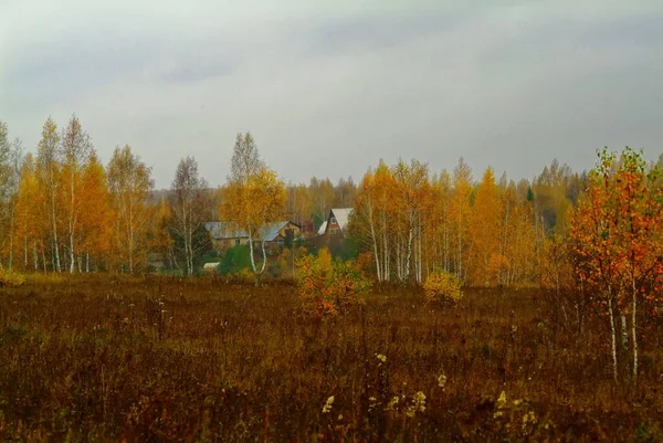 Piccolo Villaggio Autunno Nuvoloso Russia — Foto Stock