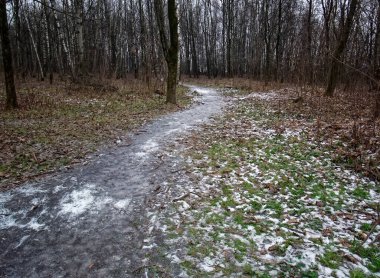 Karsız kışta, Moskova 'da, ormanın içinden geçen yol.