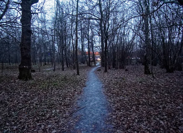 Ścieżka Przez Las Bezśnieżnej Zimie Moskwa — Zdjęcie stockowe