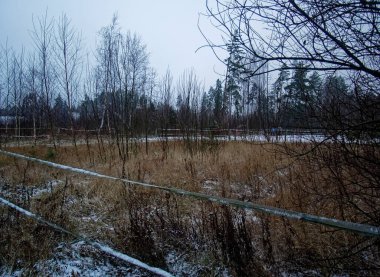 Kışın terk edilmiş at çayırı, Rusya