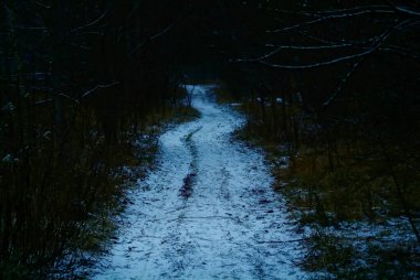 Rusya, kışın ormandaki bir tarladan geçen toprak yol.