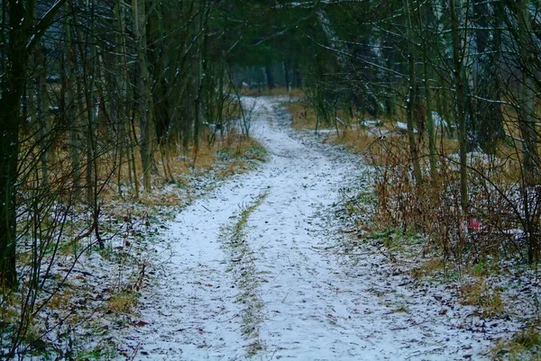 Prašná Cesta Přes Pole Lese Zimě Rusko — Stock fotografie