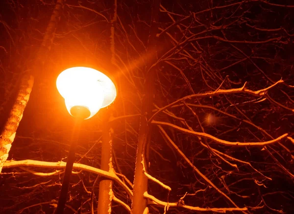 Lampione Acceso Inverno Nel Parco Mosca — Foto Stock