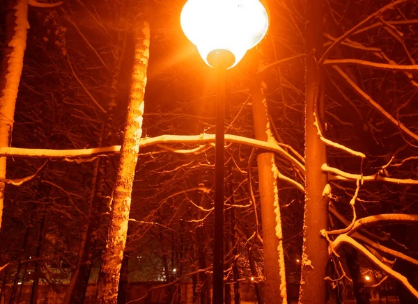 Gatlykta Tänd Vintern Parken Moskva — Stockfoto