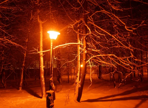 Gatlykta Tänd Vintern Parken Moskva — Stockfoto
