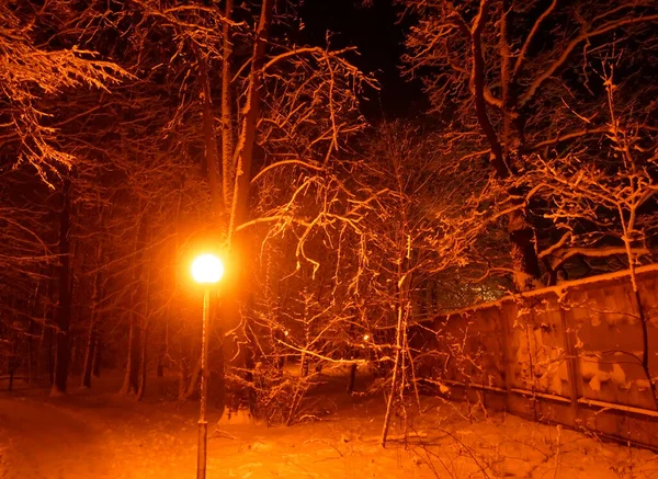 Farola Encendida Invierno Parque Moscú — Foto de Stock