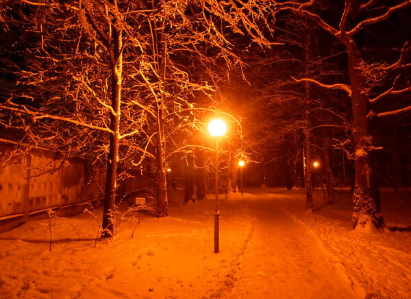 Street lamp lit in winter in the Park, Moscow