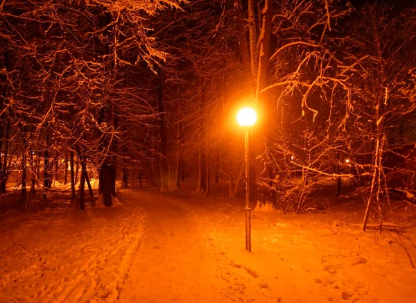 Farola Encendida Invierno Parque Moscú — Foto de Stock
