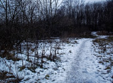 Moskova 'daki küçük kar ormanında yol.