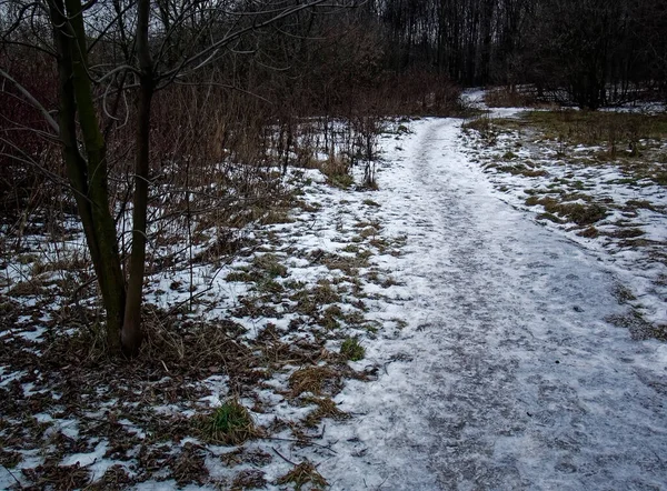 Stezka Sněhovým Pralesem Moskva — Stock fotografie