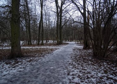 Moskova 'daki küçük kar ormanında yol.