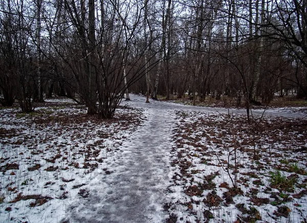 Camino Través Del Pequeño Bosque Nieve Moscú — Foto de Stock