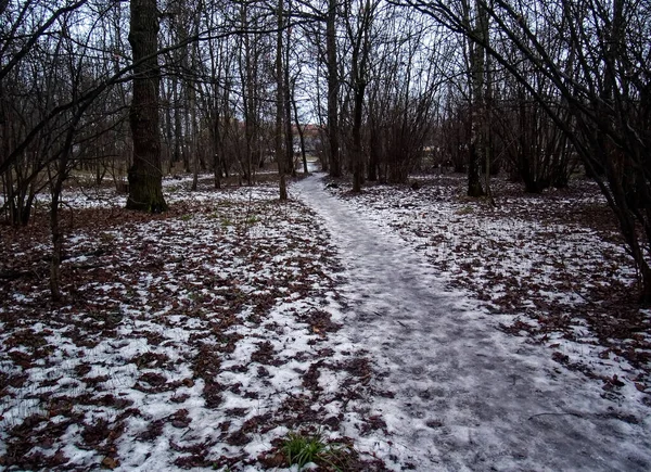 Ścieżka Przez Mały Las Śnieżny Moskwa — Zdjęcie stockowe