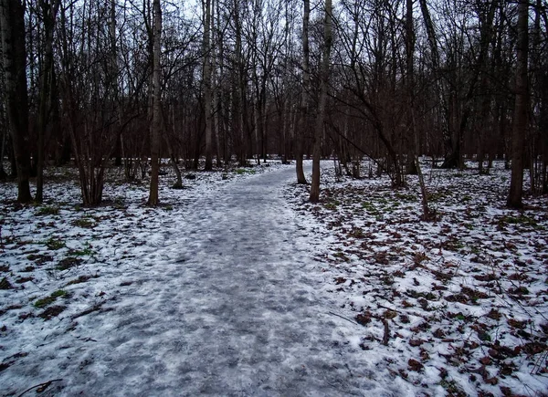Camino Través Del Pequeño Bosque Nieve Moscú — Foto de Stock