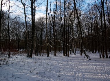 Moskova 'da kış günbatımı