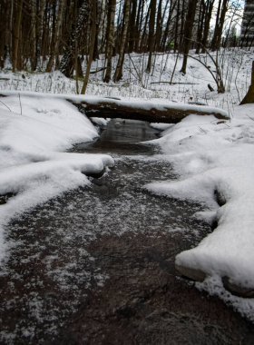 Moskova 'da kışın ormanda küçük bir dere.