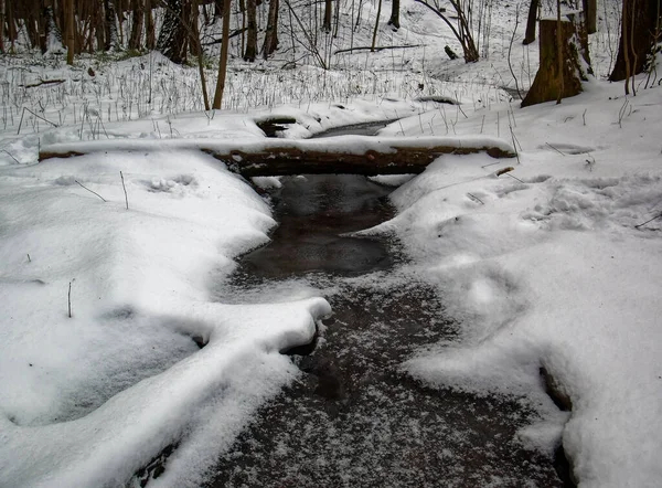 Pequeño Arroyo Bosque Invierno Moscú — Foto de Stock