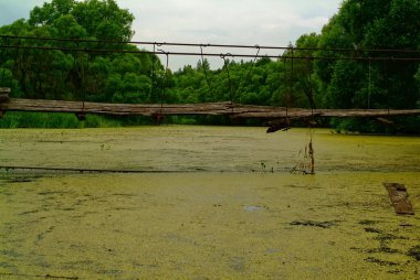 Rusya yazın çimlerle kaplanmış küçük bir nehir.