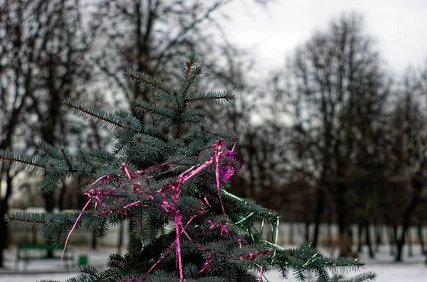 Pohon Natal Dengan Dekorasi Ditinggalkan Jalan Setelah Liburan Moskow — Stok Foto